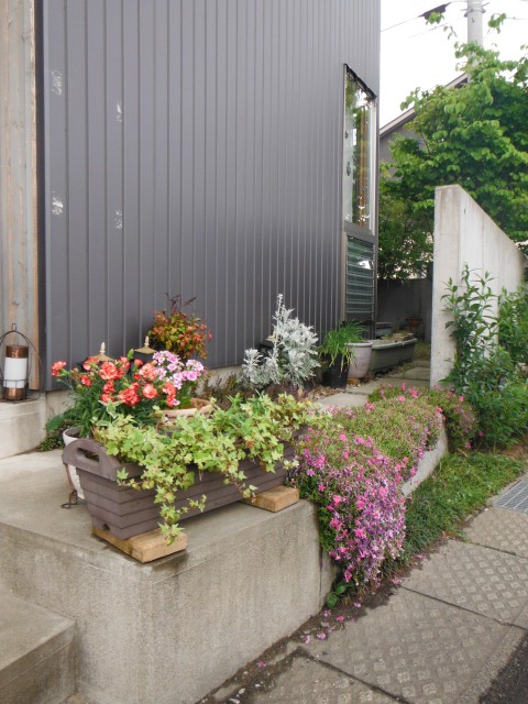 DSCF5115