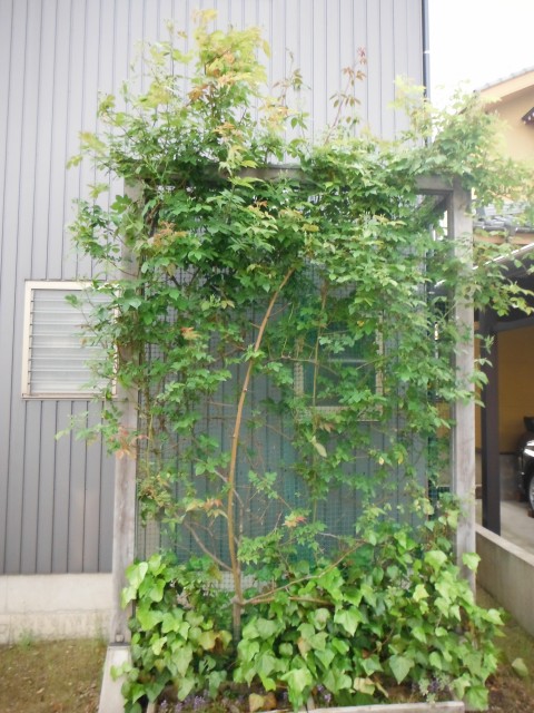 DSCF5122