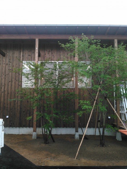 KIMG0797
