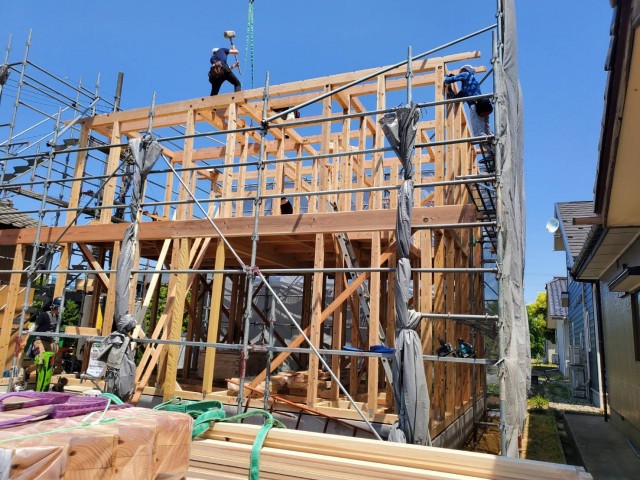 timeline_20230516_110052