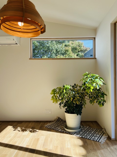 B2E84620-DD84-45DE-9BF6-06FA0E6C7B5B